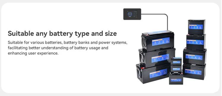 Wireless RV and Caravan Smart Battery Monitor with Bluetooth App and 500A Smart Shunt