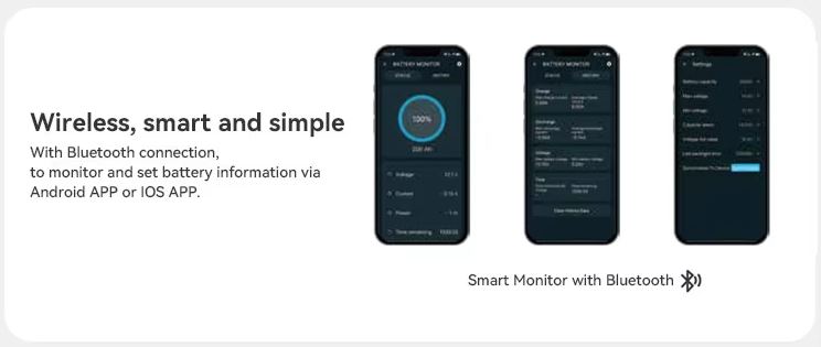 Wireless RV and Caravan Smart Battery Monitor with Bluetooth App and 500A Smart Shunt